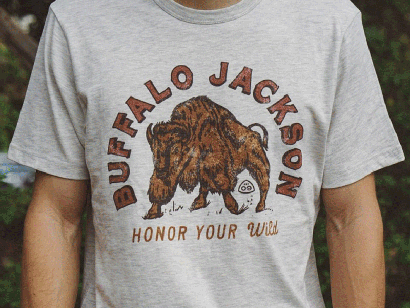 Buffalo Jackon Shirts Available Now apparel badge bison buffalo jackson compass illustration lettering lockup monogram wild