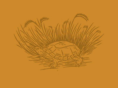 Western Painted Turtle grass illustration reptile turtle western painted turtle