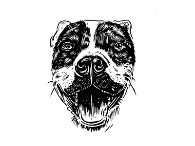Walter dog illustration pit bull portrait