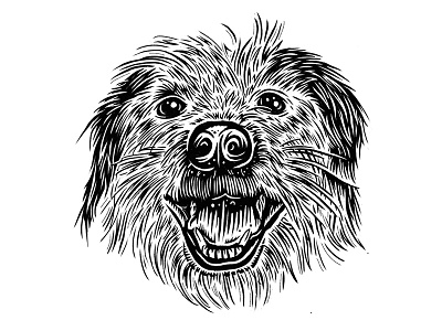 Gus black and white dog portrait furry hand drawn illustration
