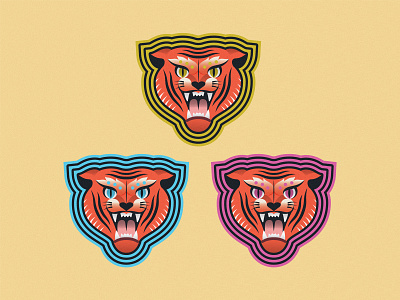 Tigers flash illustration tiger