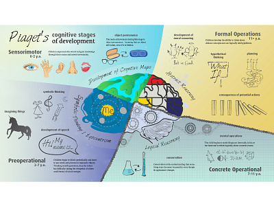 Piaget's Cognitive Stages of Development brain education illustration piaget psychology vector