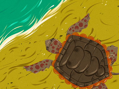 Turtle on the beach animal animation background child childrens book conceptart digital 2d digitalart digitalpainting illustration wild