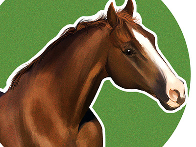 HORSE animation conceptart design digital 2d digitalart digitalpainting illustration