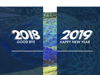 Happy New Year Cover 2018 2019 admin blue branding design happy happy new year illustration minimal new rooster vector web white year