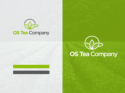 Os Tea Company Logo branding company cup design green icon leaf leaf logo logo minimal tea typography white