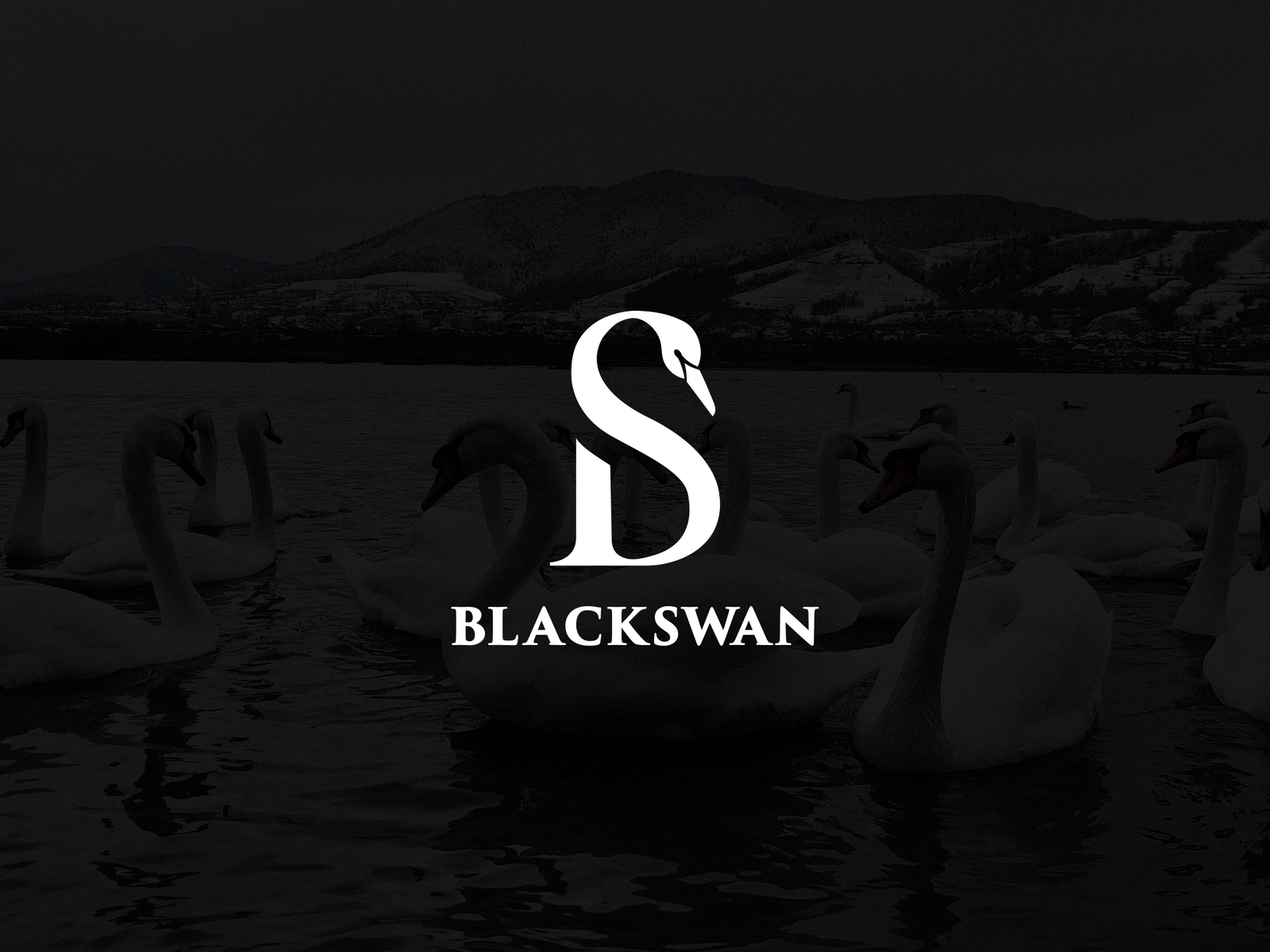 Black Swan Graphic by shikatso · Creative Fabrica