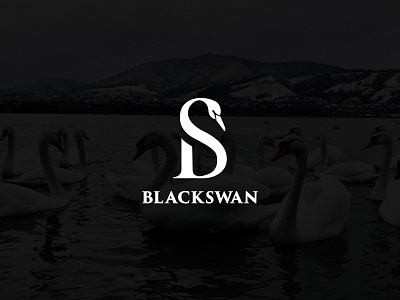 Black swan logo concept