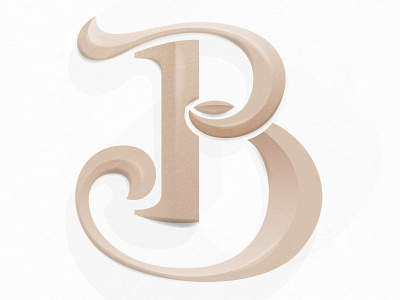 B b calligraphy dimension highlight letter lettering monogram name script shadow tan