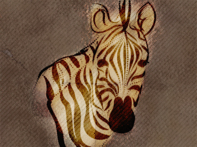 Zebra animal dot dots drawing illustration line texture zebra