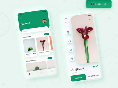 Daily UI Challenge 069/100 - Plant Shop App - Freebie