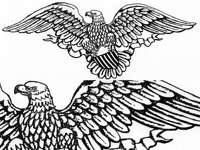 Eagle drawing eagle ink