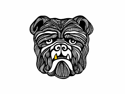 Bulldog Illustration bulldog drawing illustration procreate sketch