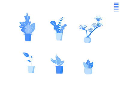 plants