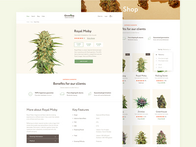 Marijuana blog and shop