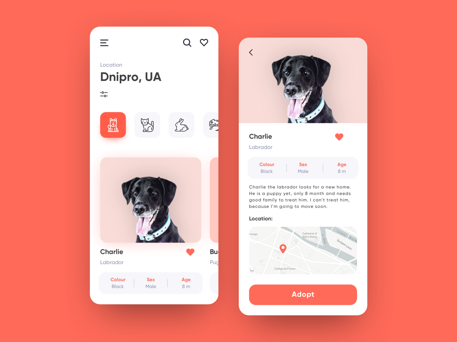 Pet adoption App UI concept by Anastasiia Popova 🇺🇦 on Dribbble