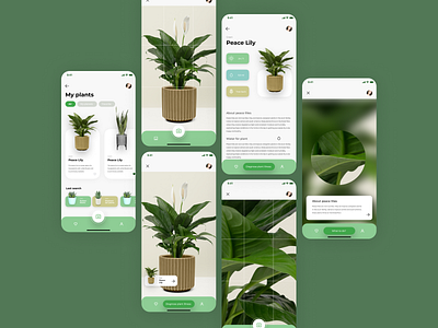 Plant Identification App