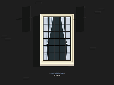 Blauwburgwal Def adobe ai amsterdam architecture building design flat graphic graphic design illustration illustrator of vector window windows windows of amsterdam