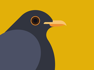 Blackbird bird blackbird design eyes flat graphic graphic design illustration illustrator soul vector