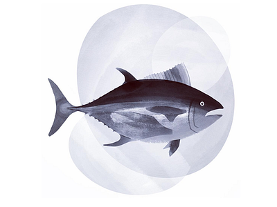 Big Tuna fish illustration ipad ipadpro paint procreate texture tuna