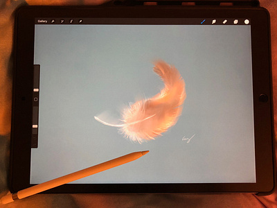 Digital Feather