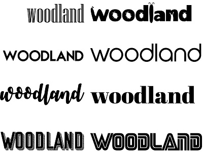 Woodland Lettering Design clean collection design font design lettering art minimal art typography vector