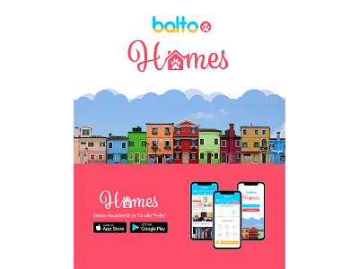 Baltoo Homes - Petsitters on demand app design flyer design illustration logo ui ux