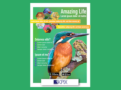 FlyerDesignEco app design birds branding ecology flyer design graphicdesign illustration nature print design