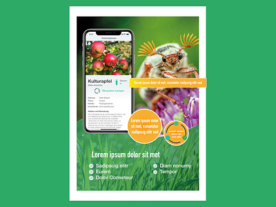 FlyerDesignEco2 app design banner ad birds bugs design ecology flyer design nature