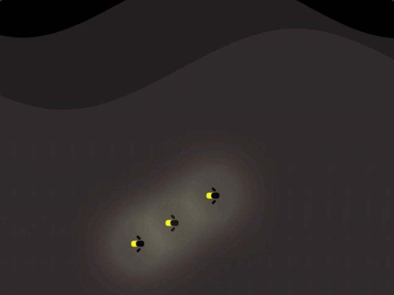Lighting Bugs Animation