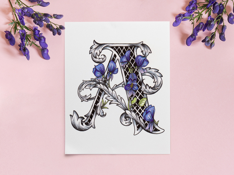 Victorian Floral Alphabet - A (Aconitum) aconitum botanical floral art lettering fonts typography illustration