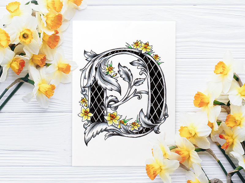 Victorian Floral Alphabet - D (Daffodil) flowers daffodil alphabet floral botanical art lettering fonts illustration typography