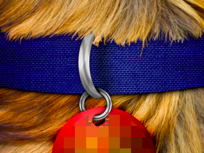 Splash Screen tease app collar dog fabric hair metal