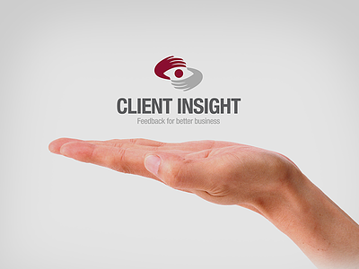 Logotype for Client Insight branding client insight identity logotype