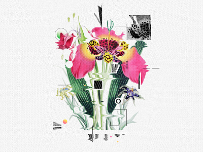 Pixel Flower collage collageart distortion editorial illustration photoshop pixel retro texture vintage