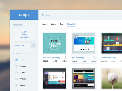 Droplr Dashboard audio dasgboard droplr images like link portfolio upload file video work