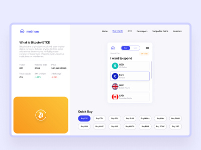 Crypto Payment Gateway Web Design