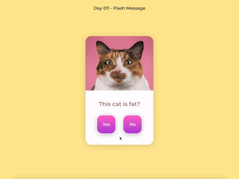 #DailyUI 011 - Flash Message daily ui dailyui flash message gif ui