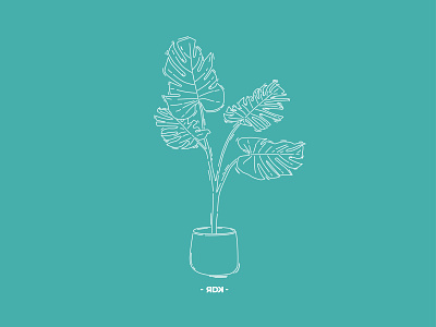 Monstera Deliciosa branding deliciosa design flat green icon illustration illustrator line lineart minimal monstera monsteradeliciosa tree vector