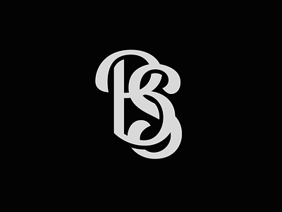 BS Monogram bs monogram custom logo custom type design graphic design illustration lettered logo lettering lettering artist logo logo design modern logo monogram monogram mark monograms type art type logo typography