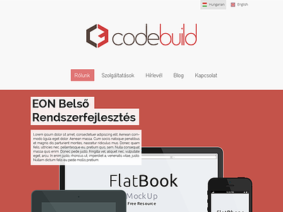 Codebuild's new homepage design flat onepage redesign slider webdesign