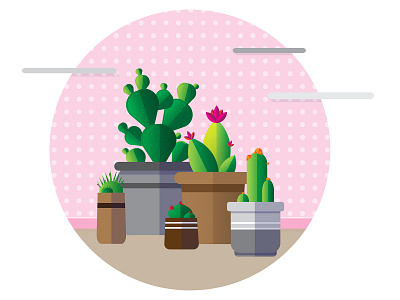 cactus Plants animation design flat graphicdesign illustration layer vector