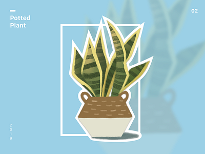 Potted plant