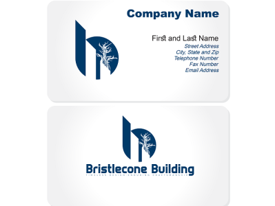 business card Design / Logo design / Bristlecone