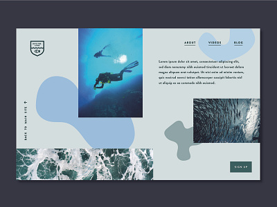 Dive for lives colour design logo photgraphy ux web