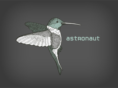 Hummingbird astronaut bird hummingbird tshirt wing