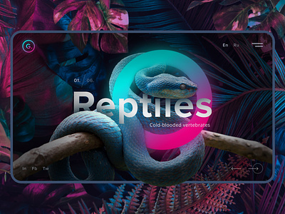 Reptiles Web Design concept concept design design figma photoshop ui ux web website