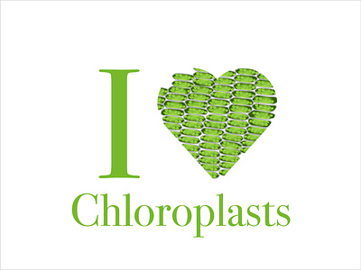 I heart chloroplasts biology design plants t-shirt design