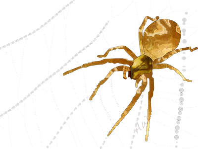 Spider 2 design halloween illustration spider web