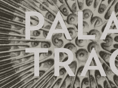 Palaxy Tracks Art anemone illustration muted palaxy tracks verlag